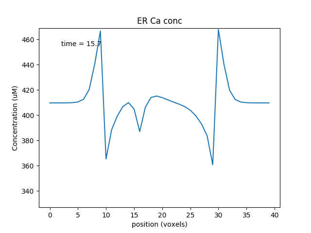 Calcium depletion and buildup in the ER due to CICR wave.