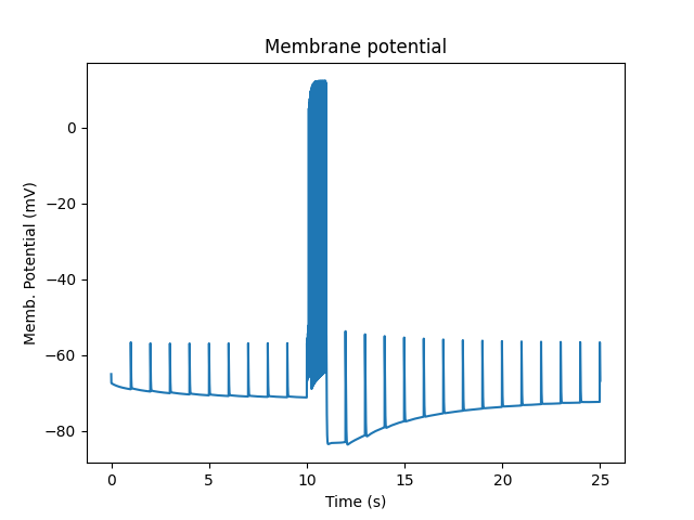 Membrane potential and spiking.