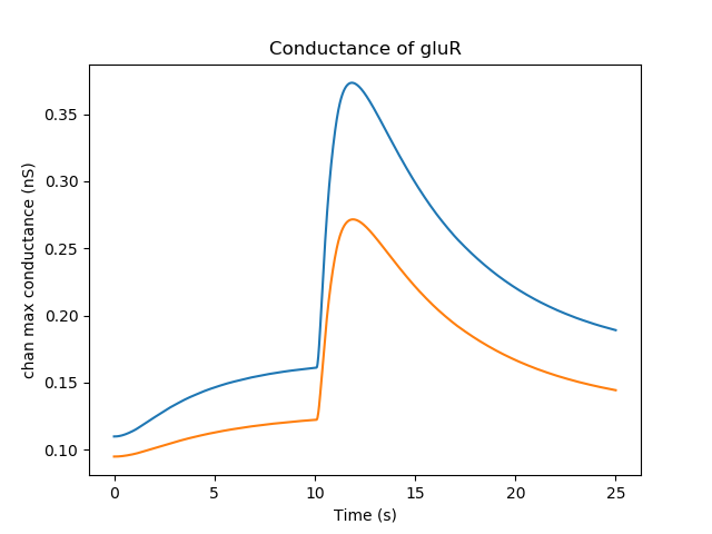 Conductance of glutamate receptor